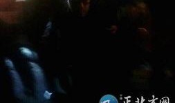 最新爆料斩虎事件视频大全,揭秘最新爆料事件视频大全