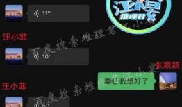 狗仔爆料聊天记录视频,明星聊天记录视频曝光，幕后真相令人震惊