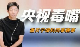 撒贝宁爆料张绍刚视频,揭秘背后惊人真相